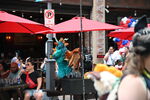 DSC_6478.JPG